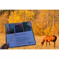 Őszi nyereményjáték