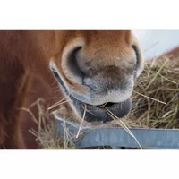 3 + 1 tipp a téli kólikaveszély minimalizálására