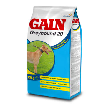 Greyhound 20