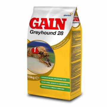 Greyhound 28