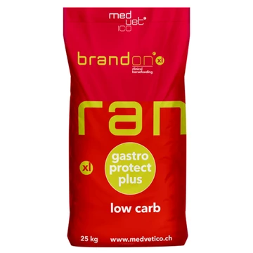 St. Hippolyt Brandon XL