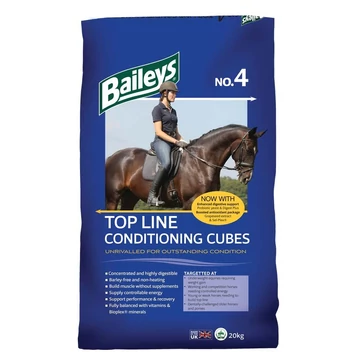 Baileys No. 4 Top Line Conditioning Cubes