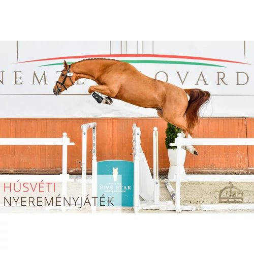 A tenyésztők és kancatartók nagy húsvéti játéka