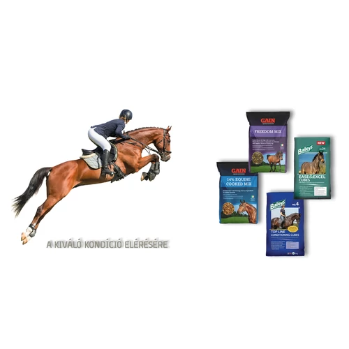 Elindult Premium Horse Feeds webáruházunk