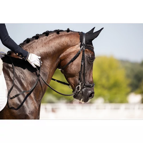 Elindult Facebook-csoportunk!