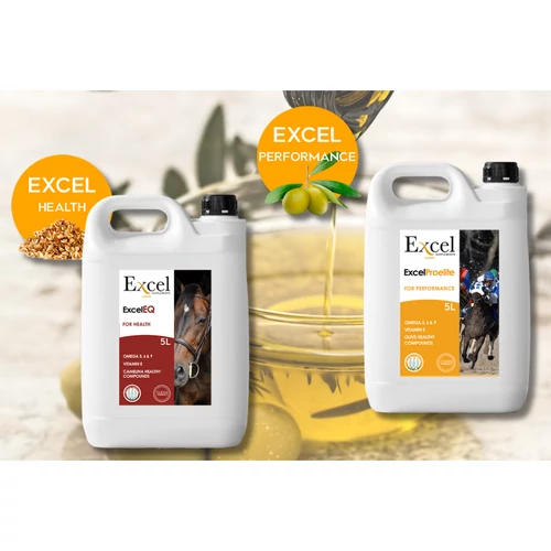 Kiváló minőségű olajkiegészítők lovaknak – Excel ProElite és Excel EQ