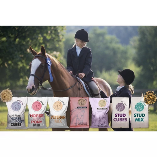 Baileys HiLight termékcsalád – prémium minőség, elérhető áron, minden ló számára