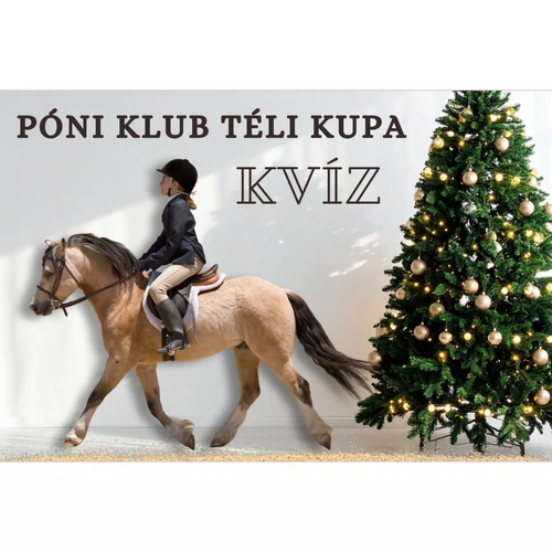 Póni Klub Téli Kupa Kvíz