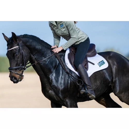 Baileys Horse Feeds: minőség generációk óta