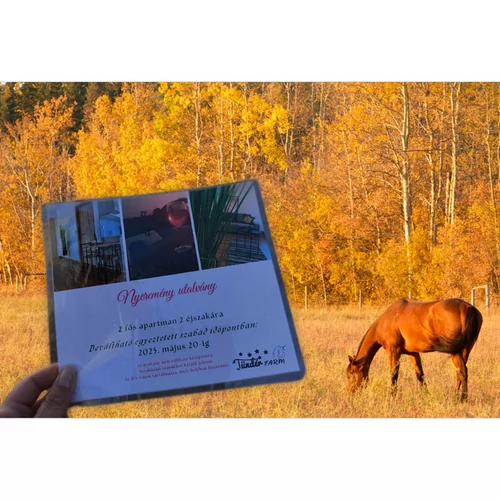 Őszi nyereményjáték