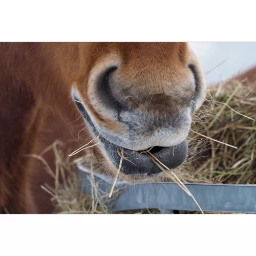 3 + 1 tipp a téli kólikaveszély minimalizálására