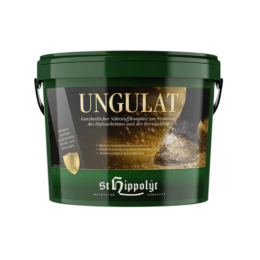 St. Hippolyt Ungulat