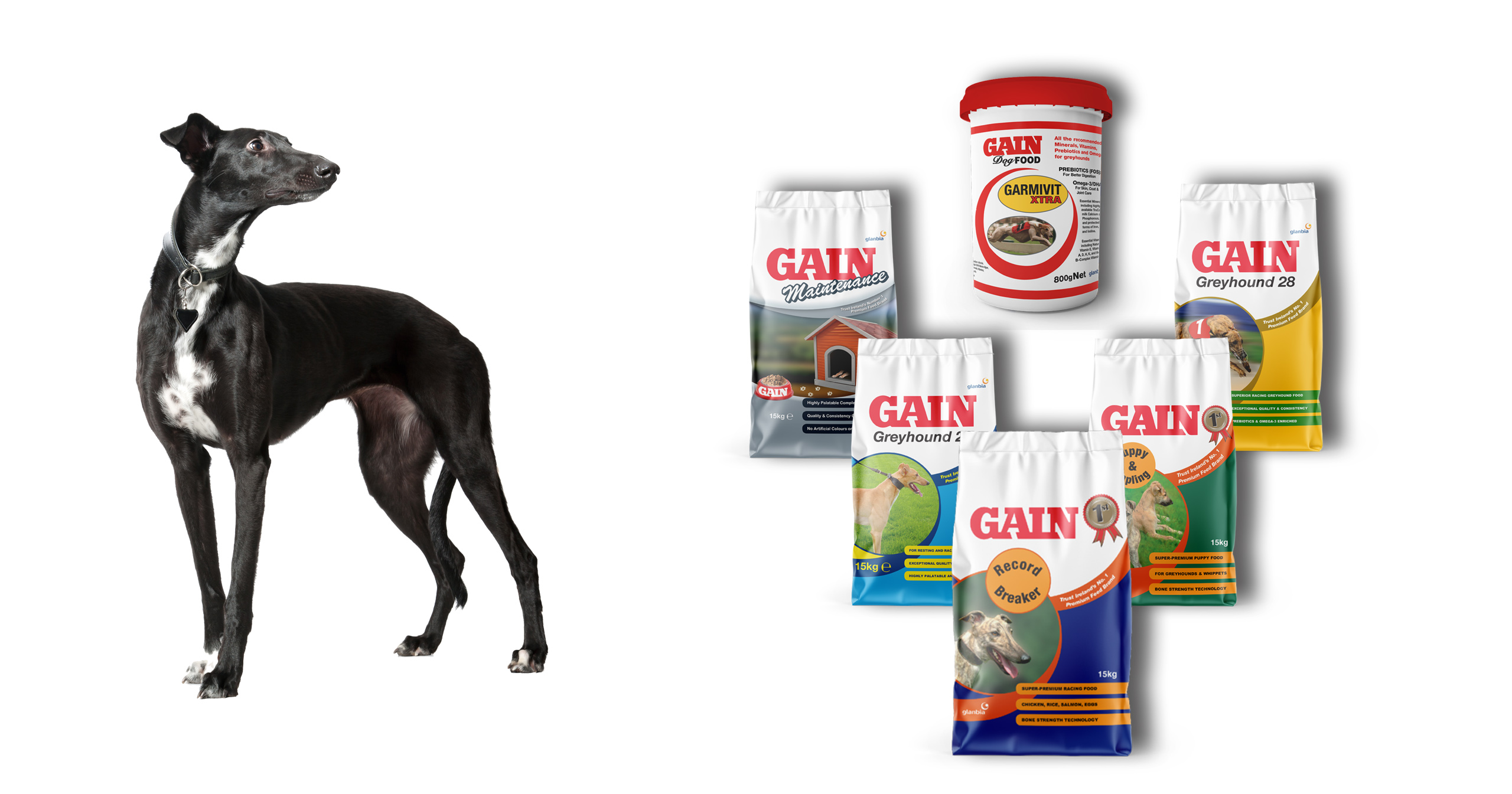 Greyhound termékcsalád