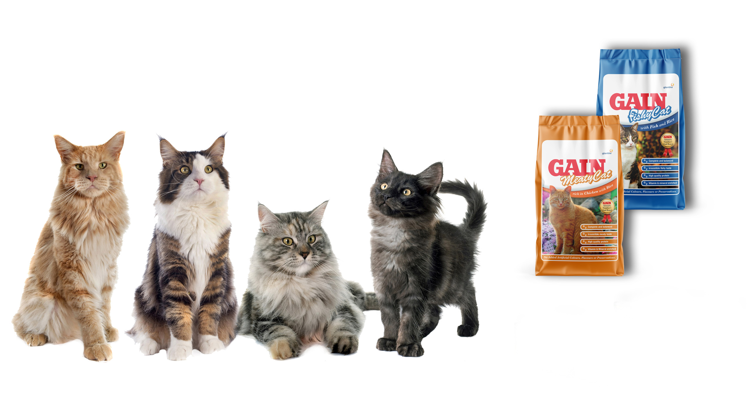 GAIN Cat termékcsalád